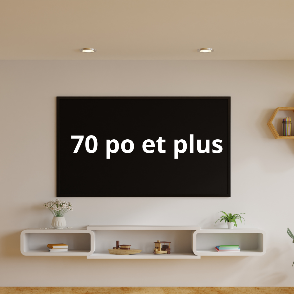 Téléviseurs de 70 po et plus
