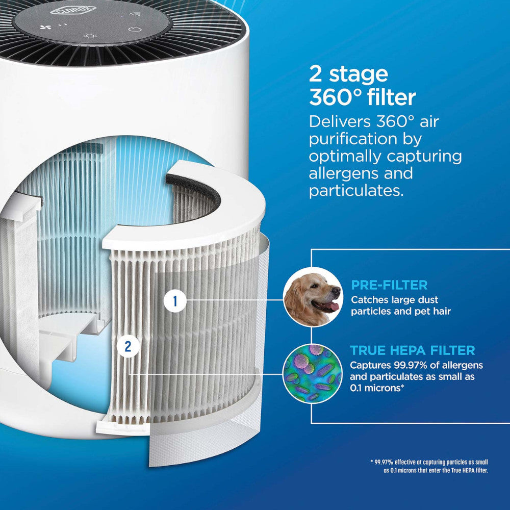 Purificateur d'air Clorox de table intelligent (11021)