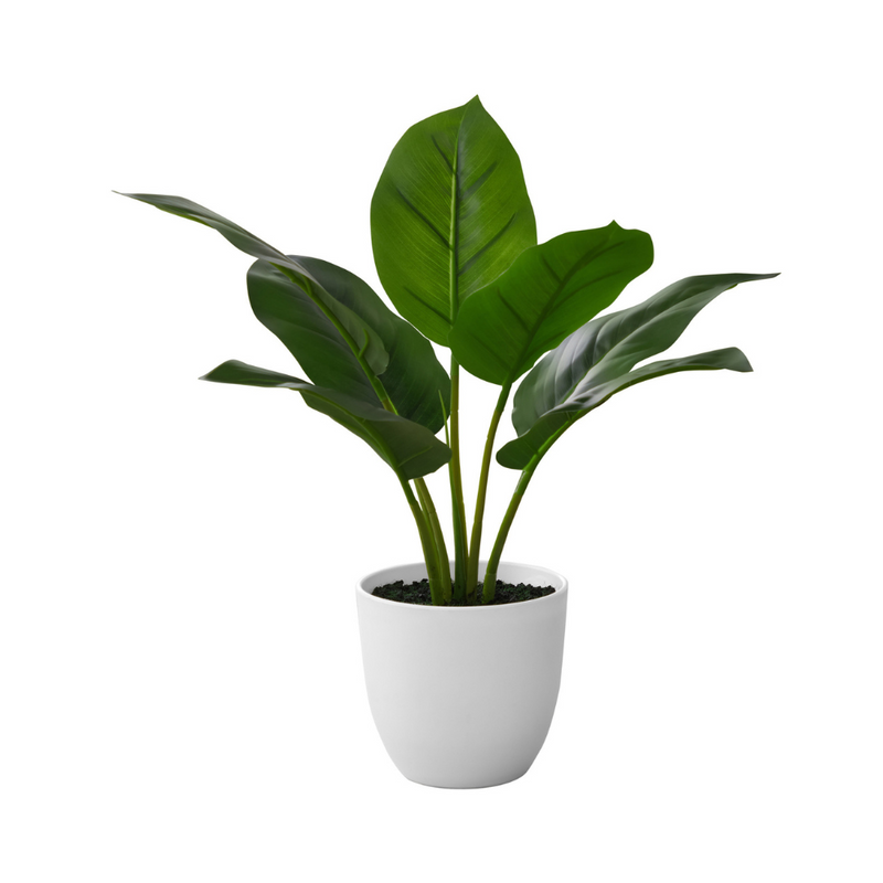 Plante artificielle - Aureum Intérieur Pot 5'' - Monarch (I 9502)