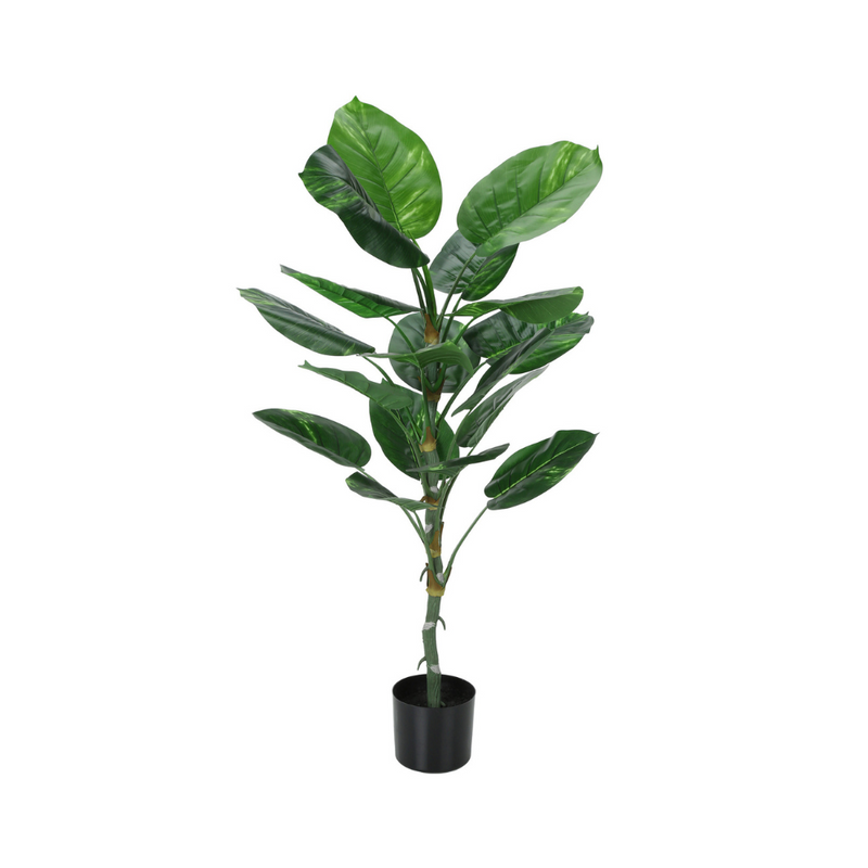 Plante artificielle - Dieffenbachia Intérieur Pot 5'' - Monarch (I 9519)