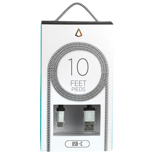Câble USB A 2.0 vers USB C de 3 m (10 pi) de LBT (LBT093) - Noir