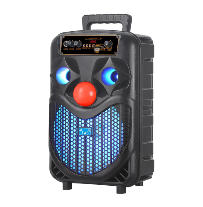 8'' extra bass party speaker (NDR-P66)